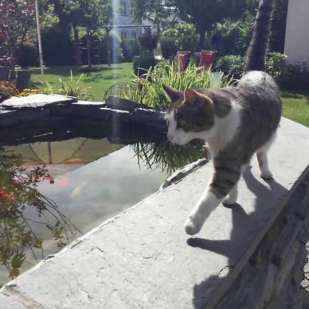 Wein- U. St. Maximin