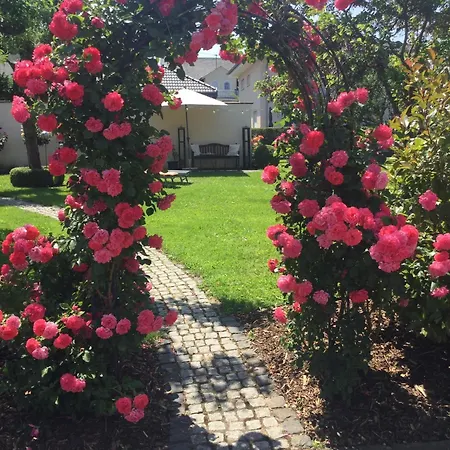 Wein- U. St. Maximin Apartment *