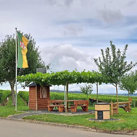 Wein- U. Gaestehaus St. Maximin Lägenhet Leiwen