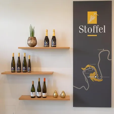 Apartment Wein- U. St. Maximin *