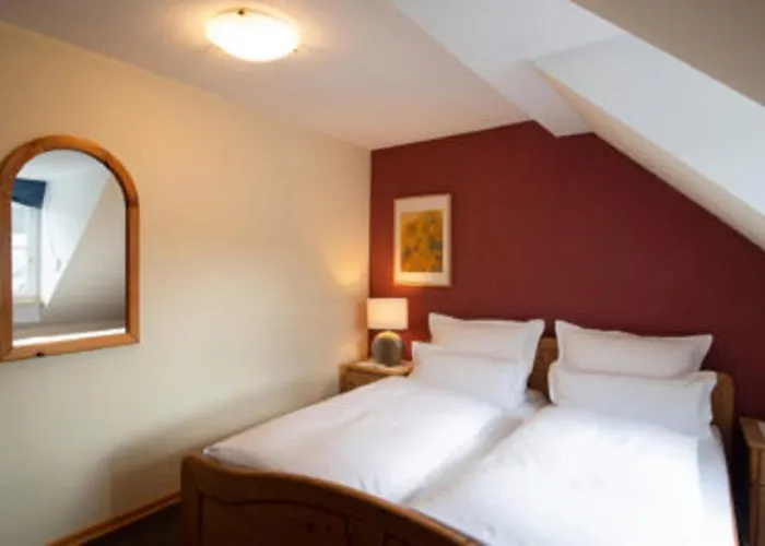 公寓 Wein- U. Gaestehaus St. Maximin