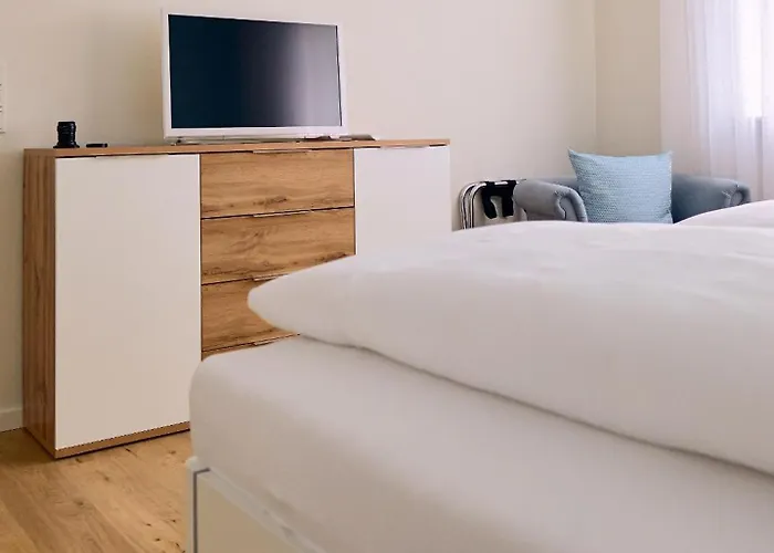 公寓 Wein- U. Gaestehaus St. Maximin 雷温