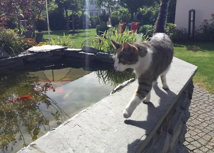 Wein- U. Gaestehaus St. Maximin