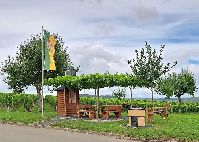 Wein- U. Gaestehaus St. Maximin 公寓 雷温