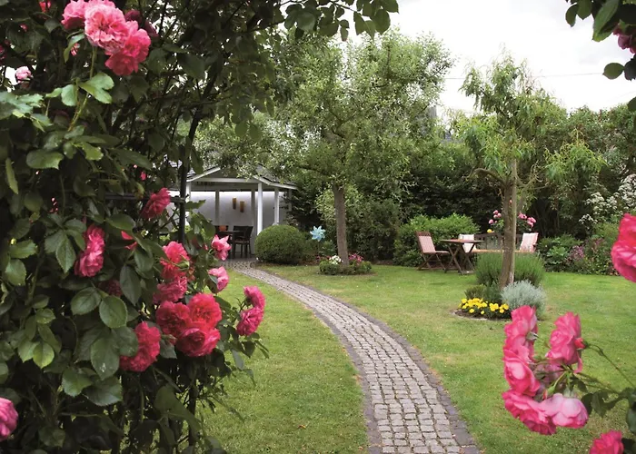 公寓 Wein- U. Gaestehaus St. Maximin